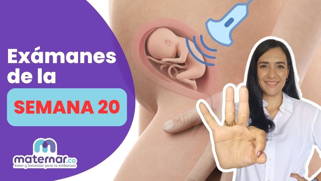 3 exámenes que debes hacerte en la semana 20 de embarazo | Maternar.co