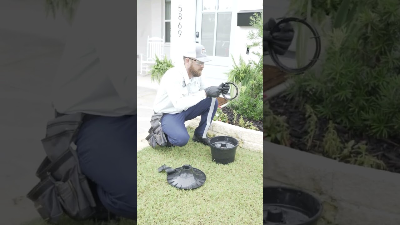🦟 Mosquito Control in Arlington, Texas