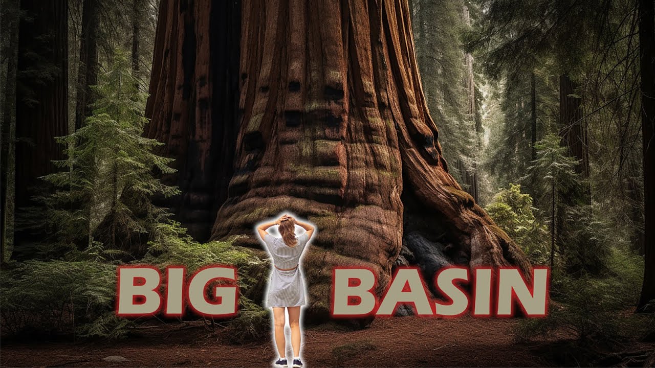 Big Basin Redwood State Park | California USA State Parks