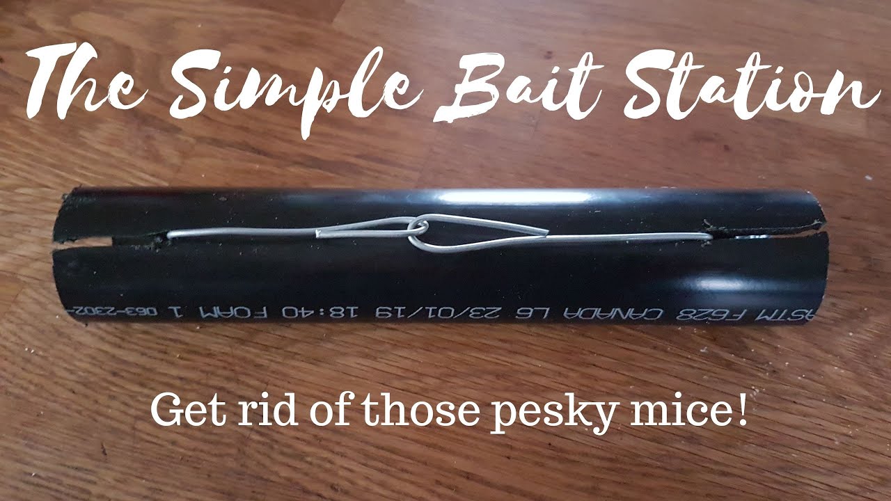 Make your own bait station - DIY