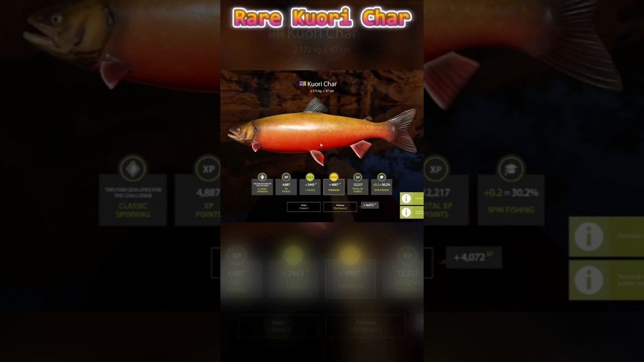 #russianfishing4 Rare Kuori #char #rf4  #fishing #bigfish #rf4spots #howto