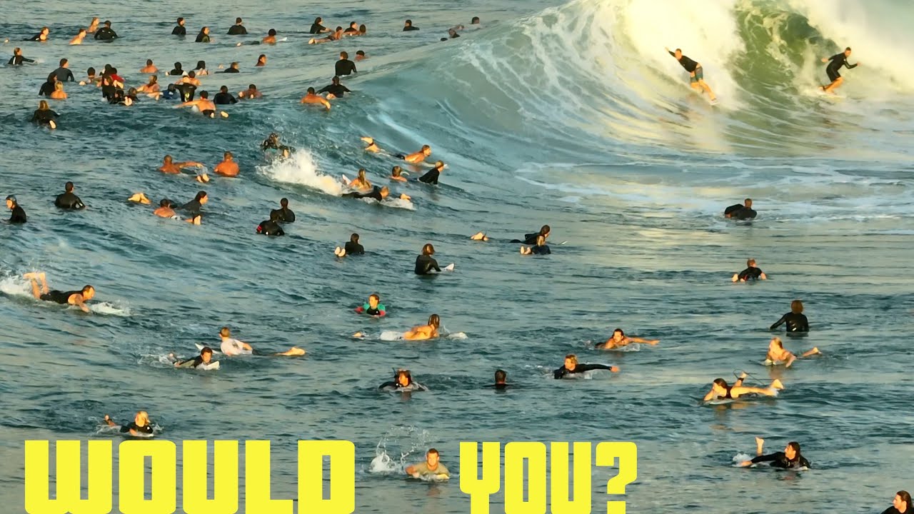 The Human Centipede 🤢 Snapper Rocks - Total Chaos