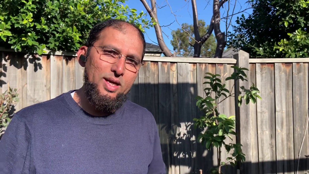An update on Guava Pink supreme & Mandarins