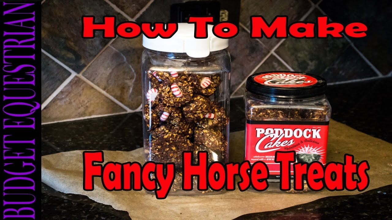 How to Make Fancy Horse Treats