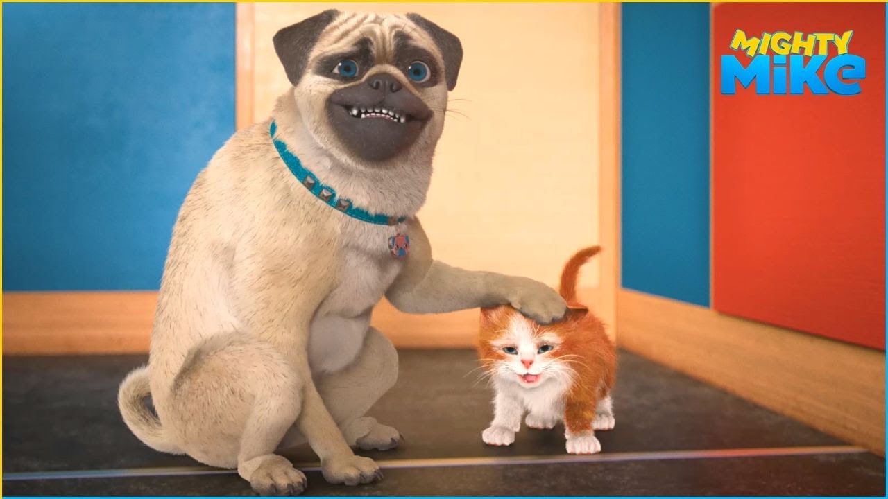 The Guard Dog | Mighty Mike | 60' Compilation | Cartoon for Kids