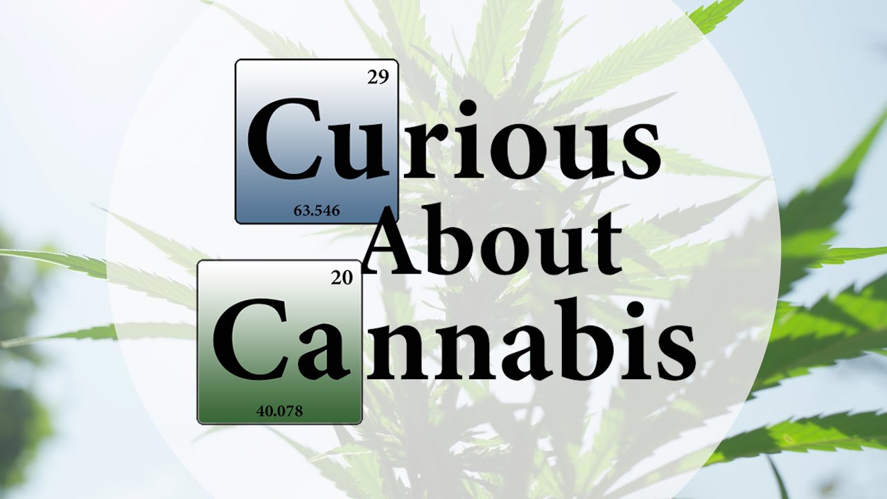Are You Curious About Cannabis? - Introducing the Curious About Cannabis YouTube Channel