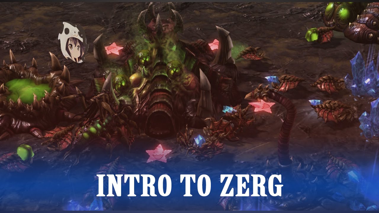 Starcraft 2: Legacy Of the Void Zerg Tutorial: Beginner's Guide To Zerg (720HD)