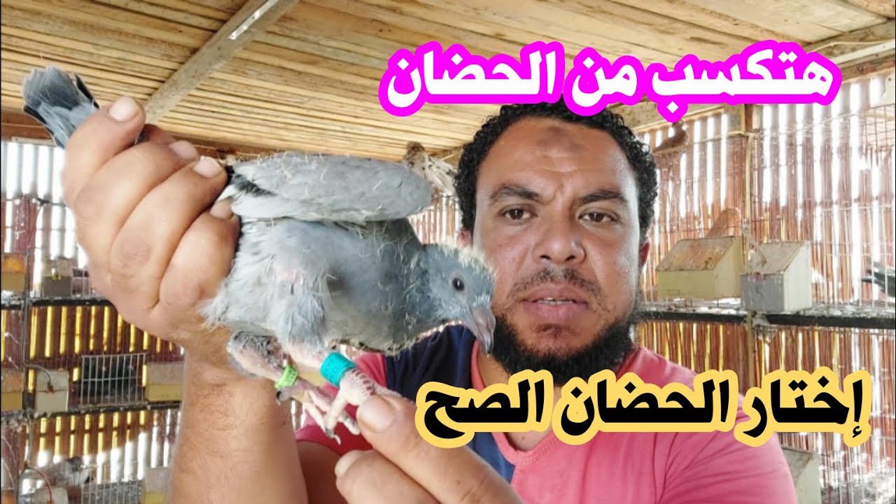 هتكسب من حمام التحضين وهتعرف أزاي تجهزه وتختار أقوي تحضين يخدم معاك سنين