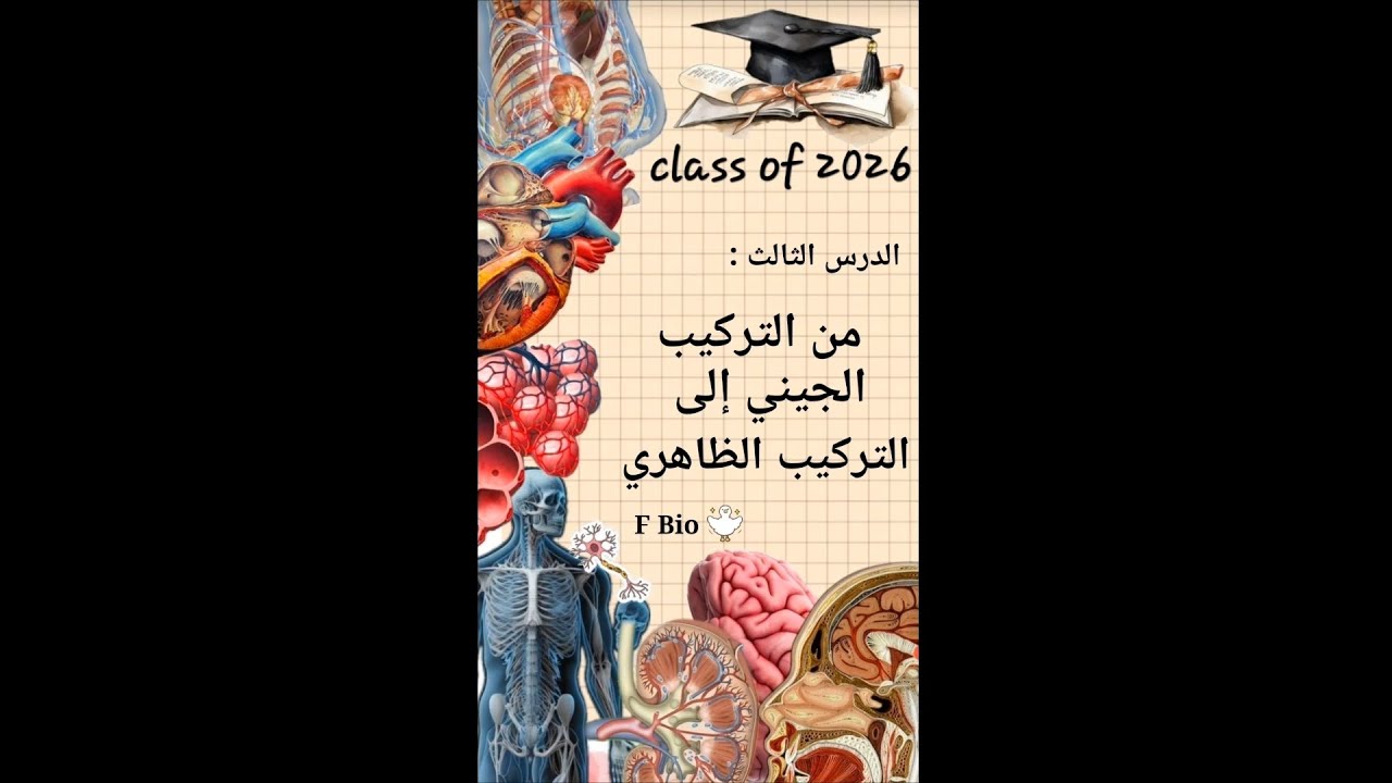 الدرس الثالث .. الجزء 2