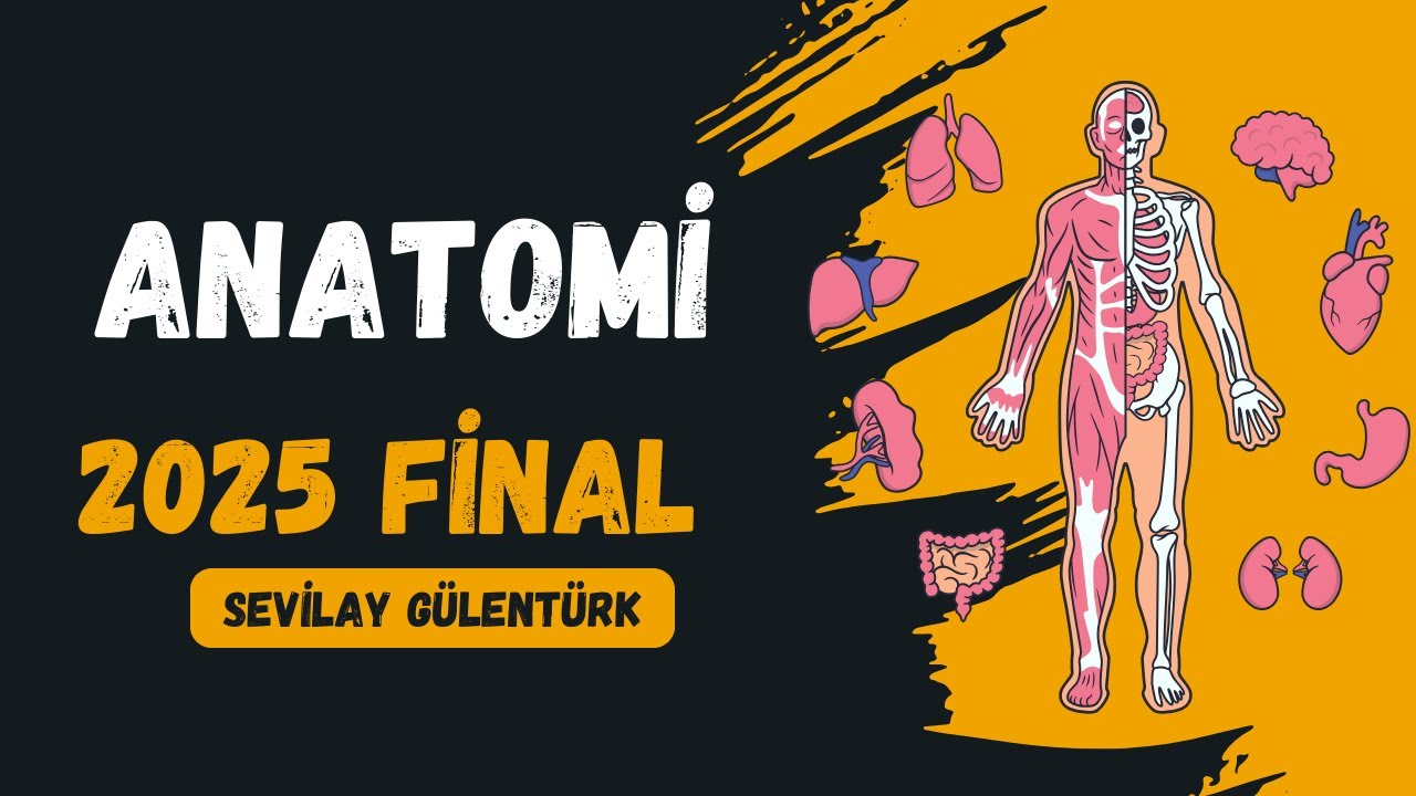 Anatomi 2025 Final Özeti