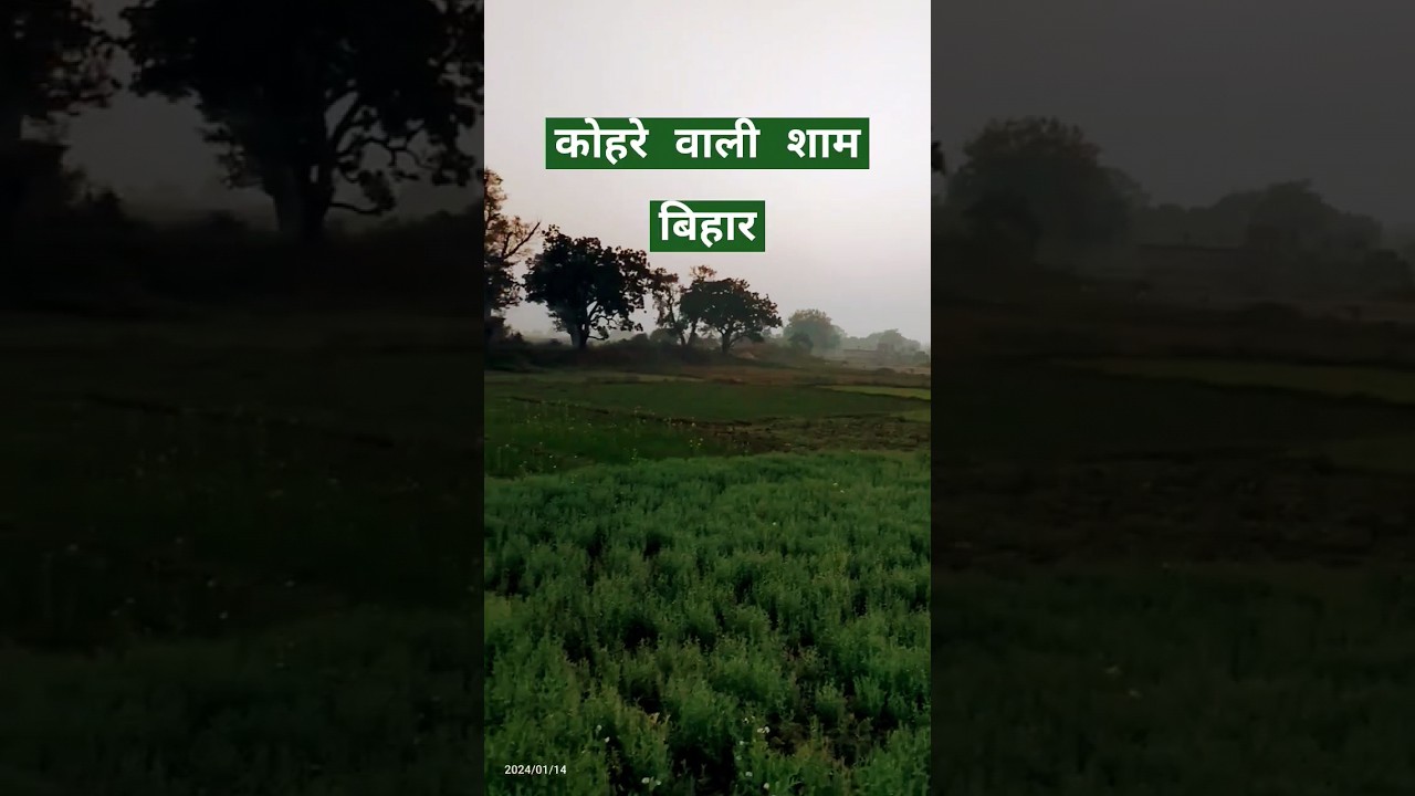 beautiful Bihar in winters 🌨️🌬️ #discover #bihar #winter #season #sunset #nature #beauty