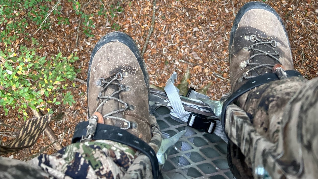 How to use climbing spurs for deer hunting!
