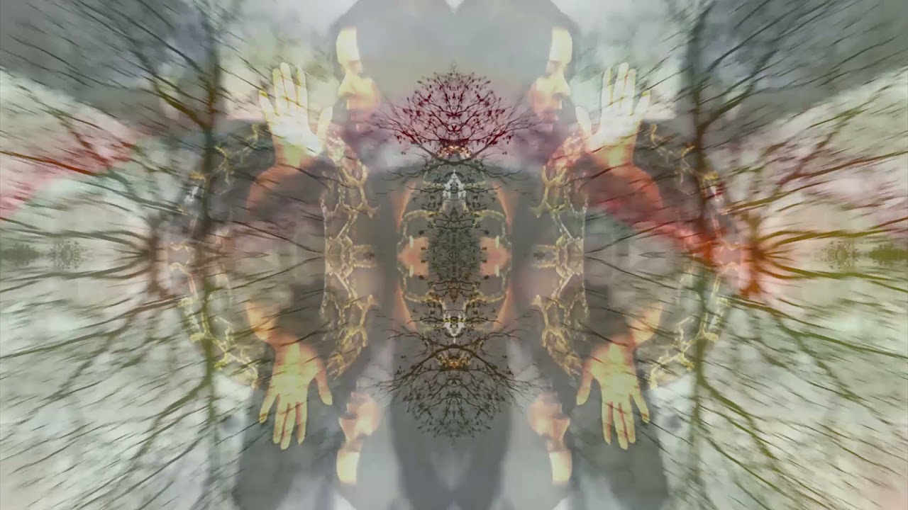 Wookalily: GHOST [Official Music Video]