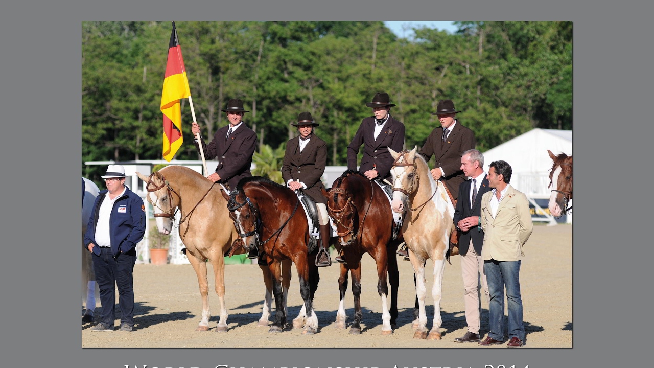 Working Equitation WM 2014