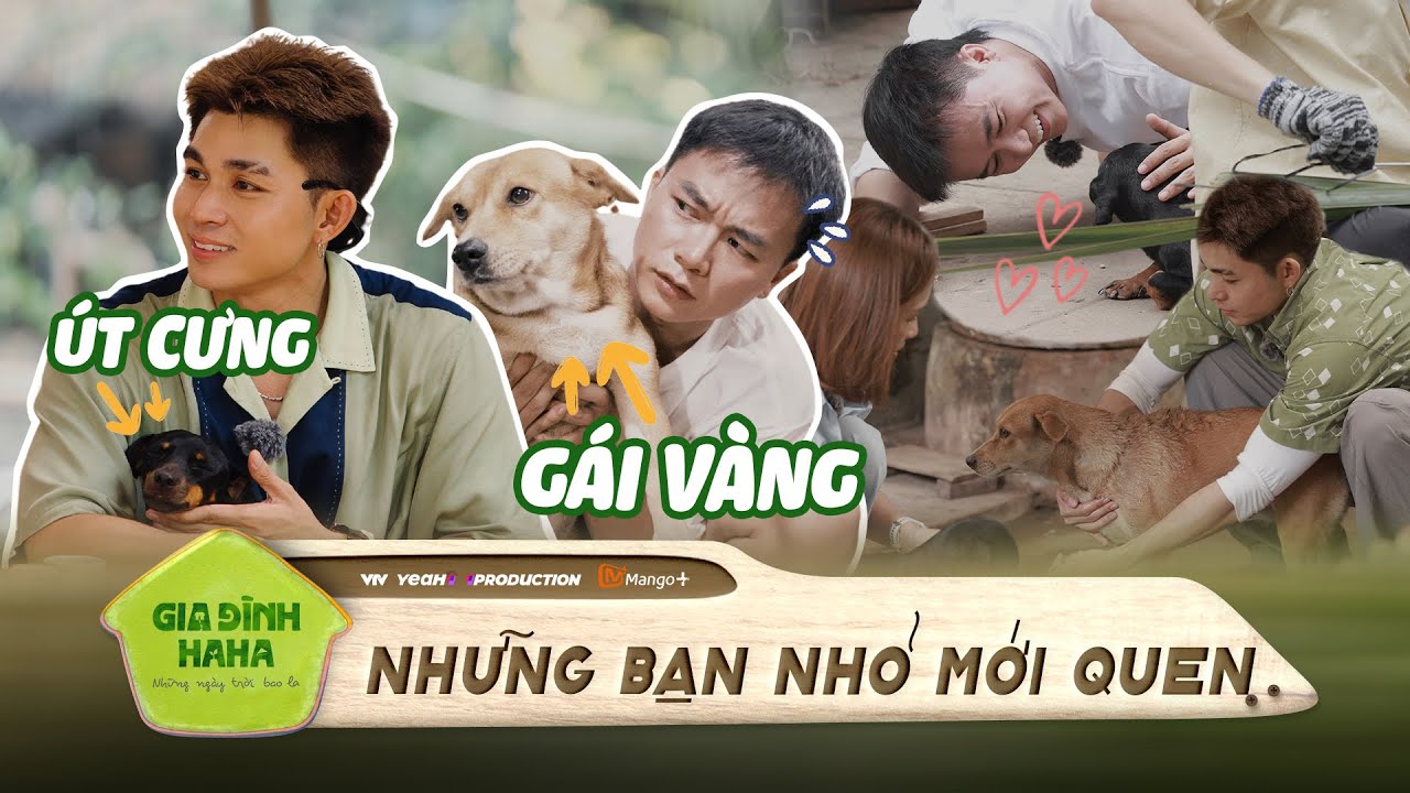 Jun Phạm & Bùi Công Nam tan chảy vì độ dễ thương của 2 bé pet siêu cưng  | Gia Đình Haha