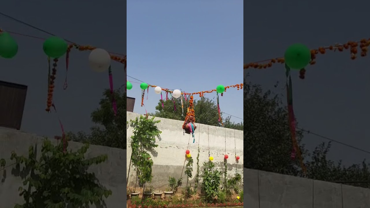 School festival 2019-2020(2)