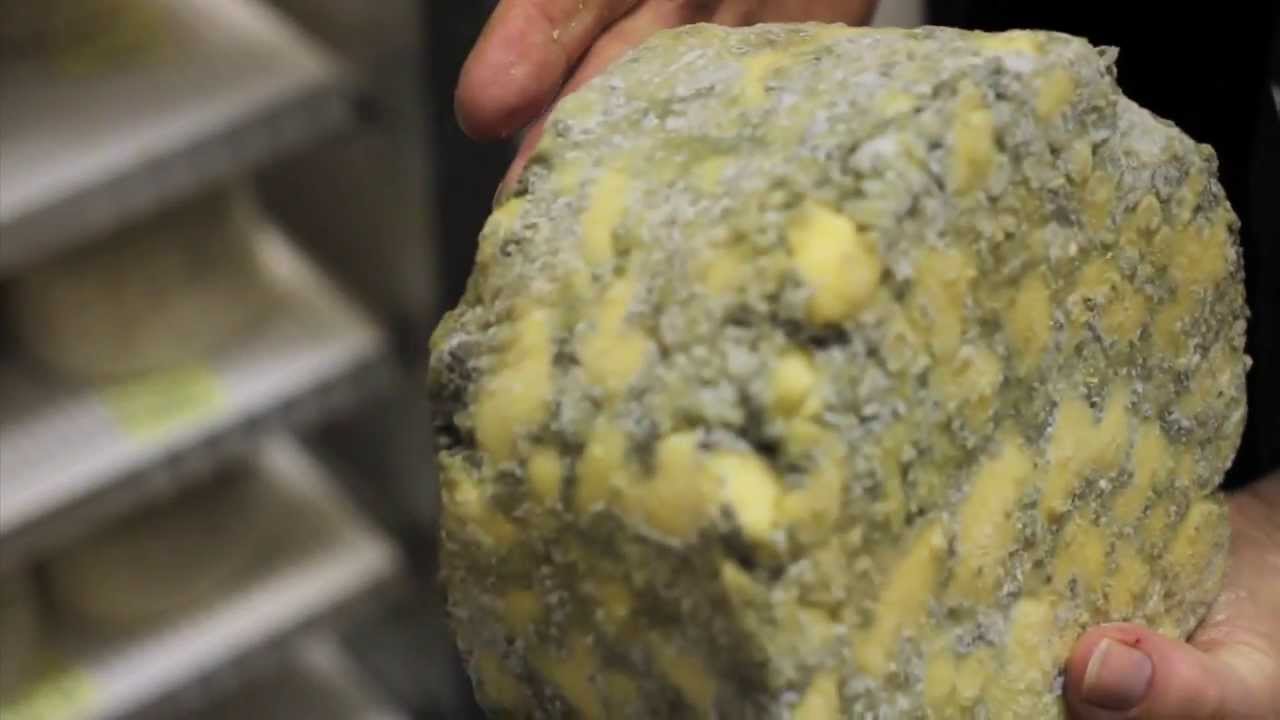 Fed By Hand - Episode 1: Cheese