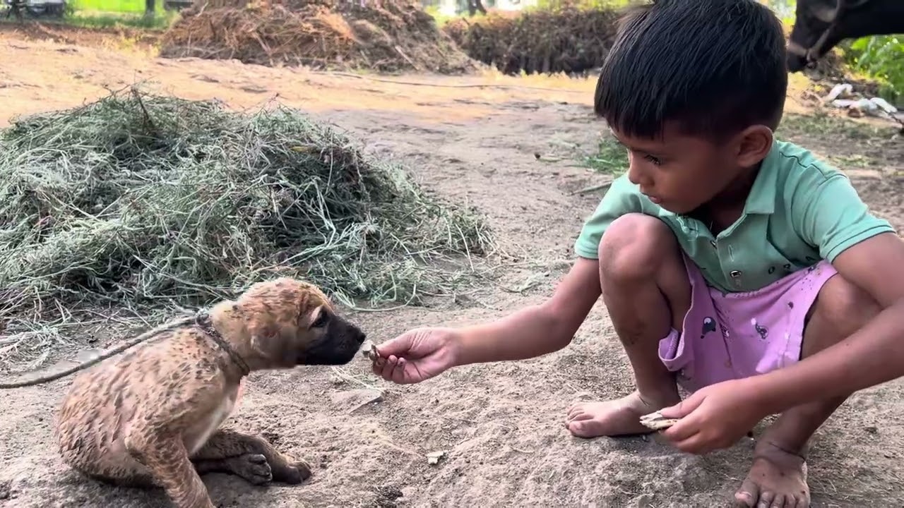 મમ્મી જો કેવુ નાનુ એવુ હુ જાવ મારી પાછળ આવે 🐕😅#mummy jo kevu nanu aevu #Hardikvlog
