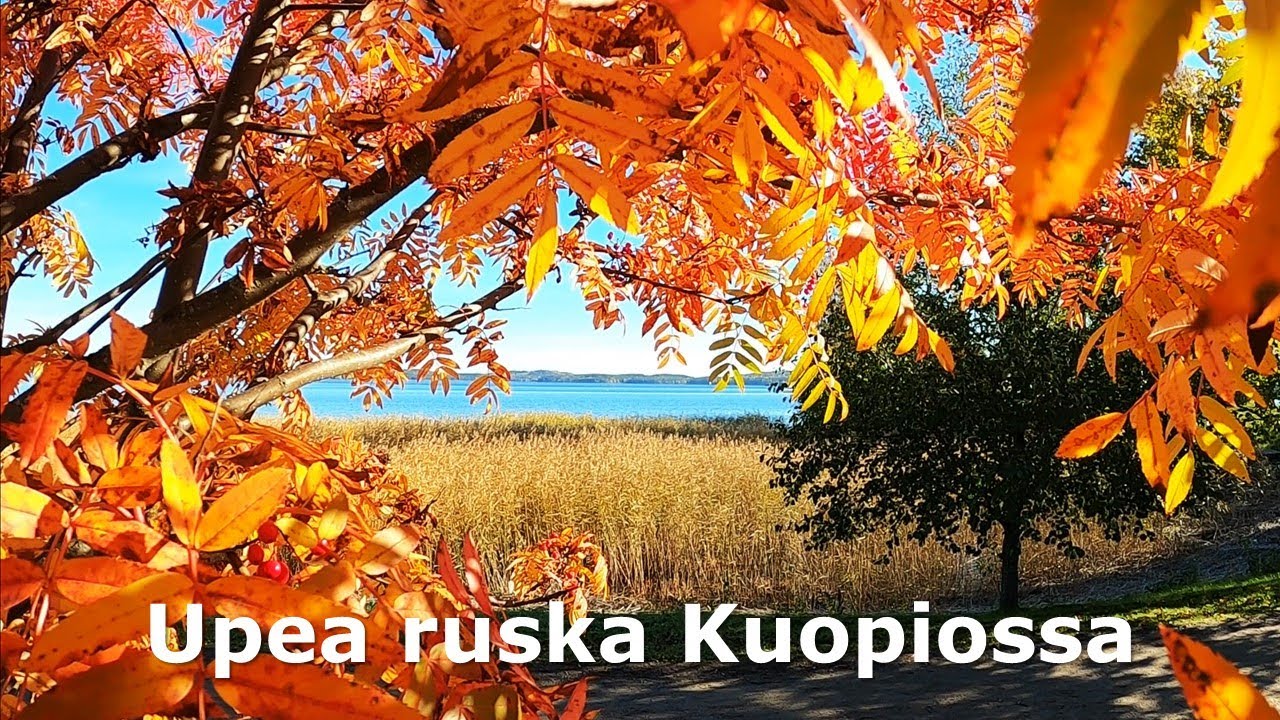 Kaunis Kuopio: Ruskan hehkuvat v&auml;rit / Beautiful Kuopio: Glowing autumn colors 27.9. 2021