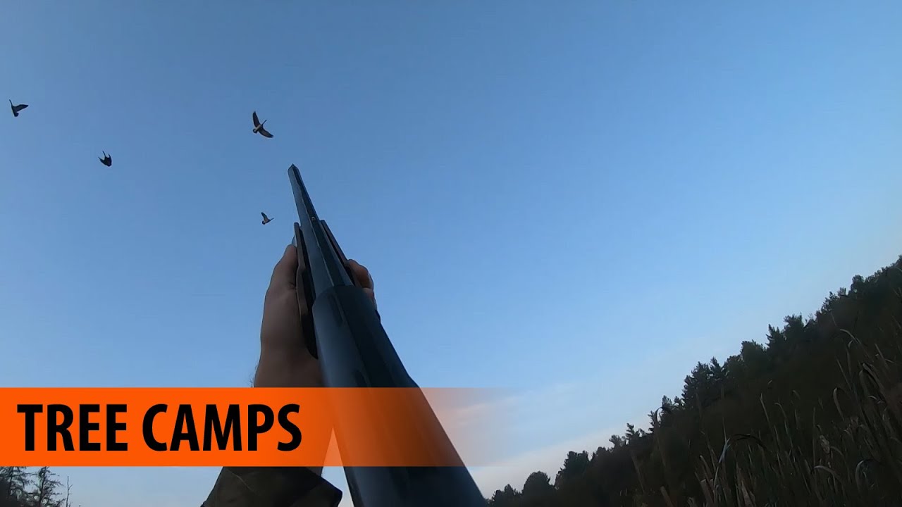 Canadian Geese Catch n'  Cook
