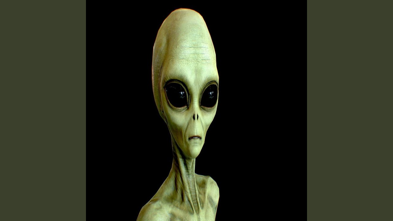 Malsain