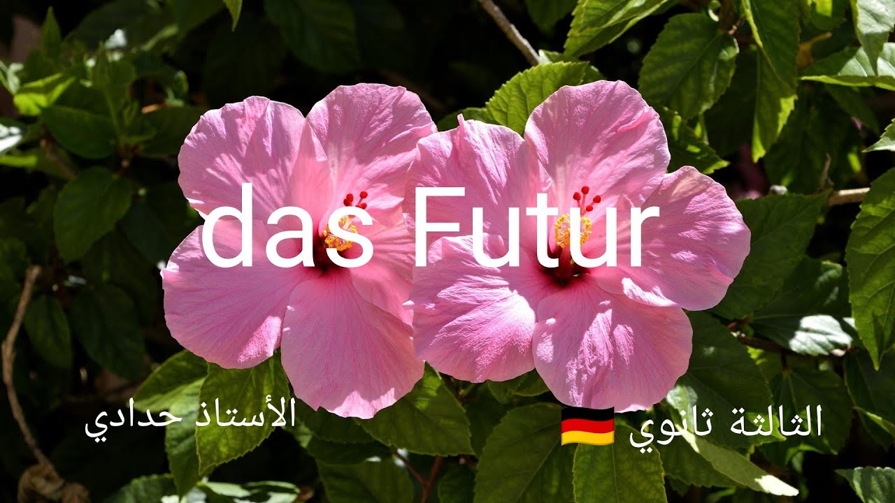 درس das Futur السنة الثالثة ثانوي لغة ألمانية 🇩🇪🇩🇪🇩🇪#الجزائر #bac2025