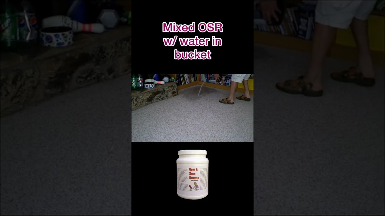 Don&rsquo;t make a mistake! Do your odor removal correctly. Professional pet urine removal from carpet pad