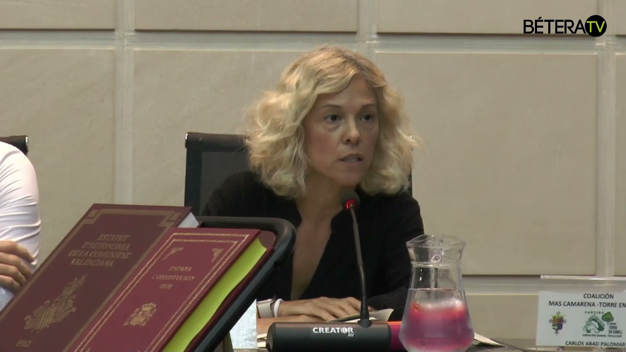 Preguntes de Joano Baudes registres d'entrada punt 3 Ple Ordinari setembre 2023