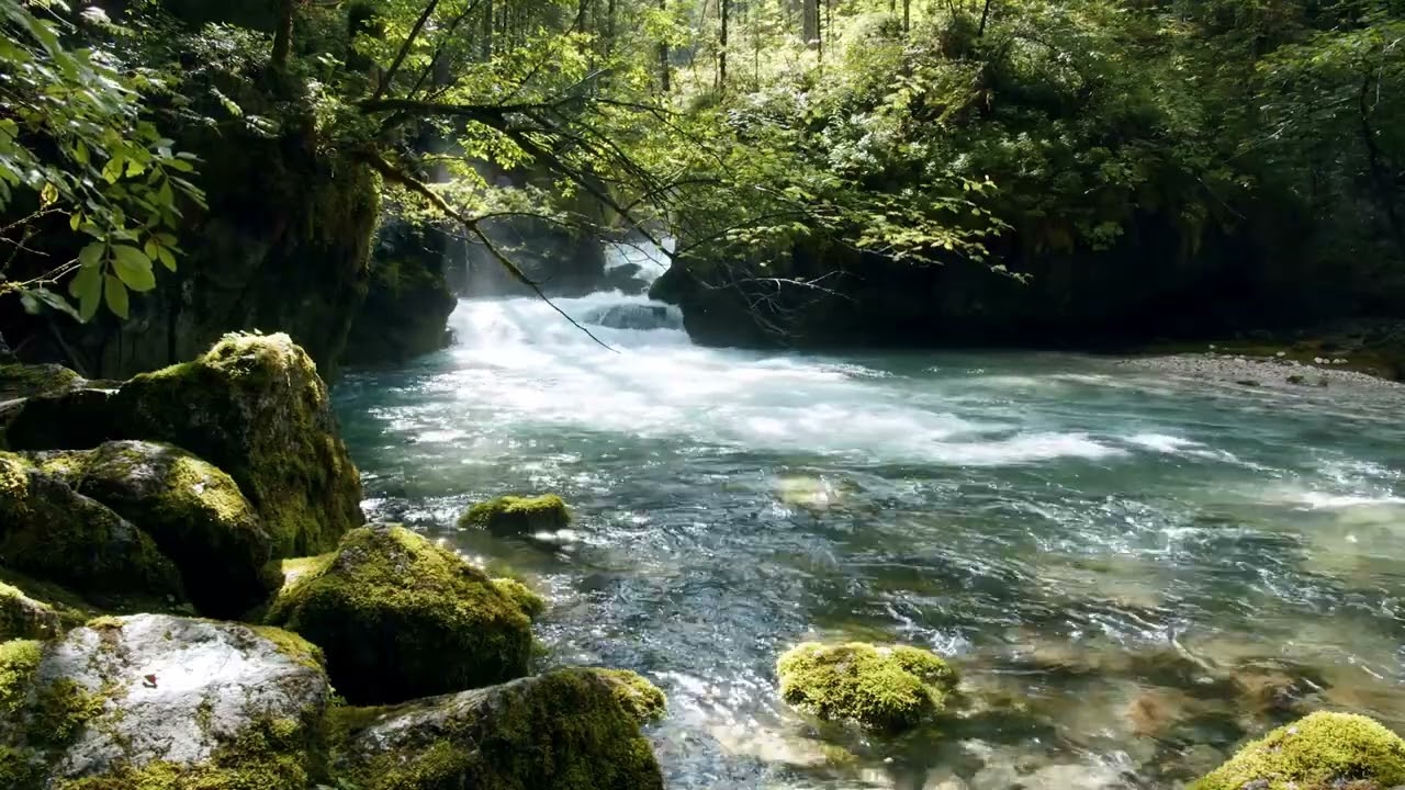 Sit by the Stream and Relax