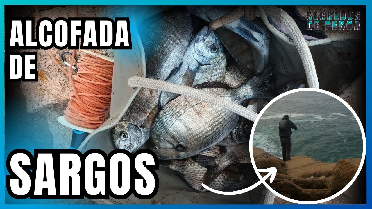 Uma jornada de pesca aos Sargos com Manuel Monteiro.
