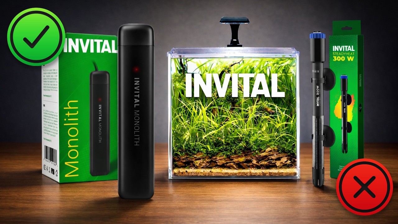 Ideal heater for small aquariums | INVITAL Monolith
