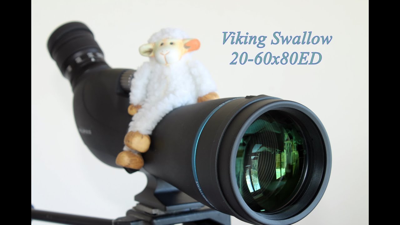 Обзор зрительной трубы Viking Swallow 20-60x80 ED