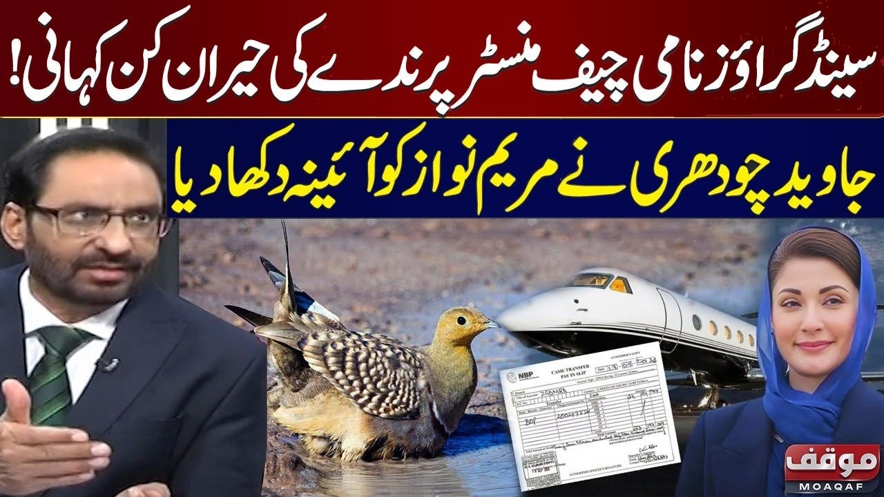 Maryam Nawaz's Private Trip on Official Aircraft & Story of Sandgrouse Bird | Javed Chaudhry Reacts