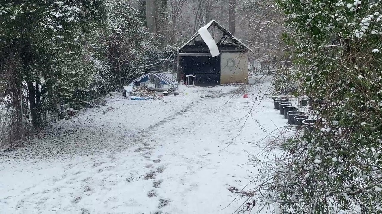 Legendary Snow storm: Augusta, GA - 1/31/26