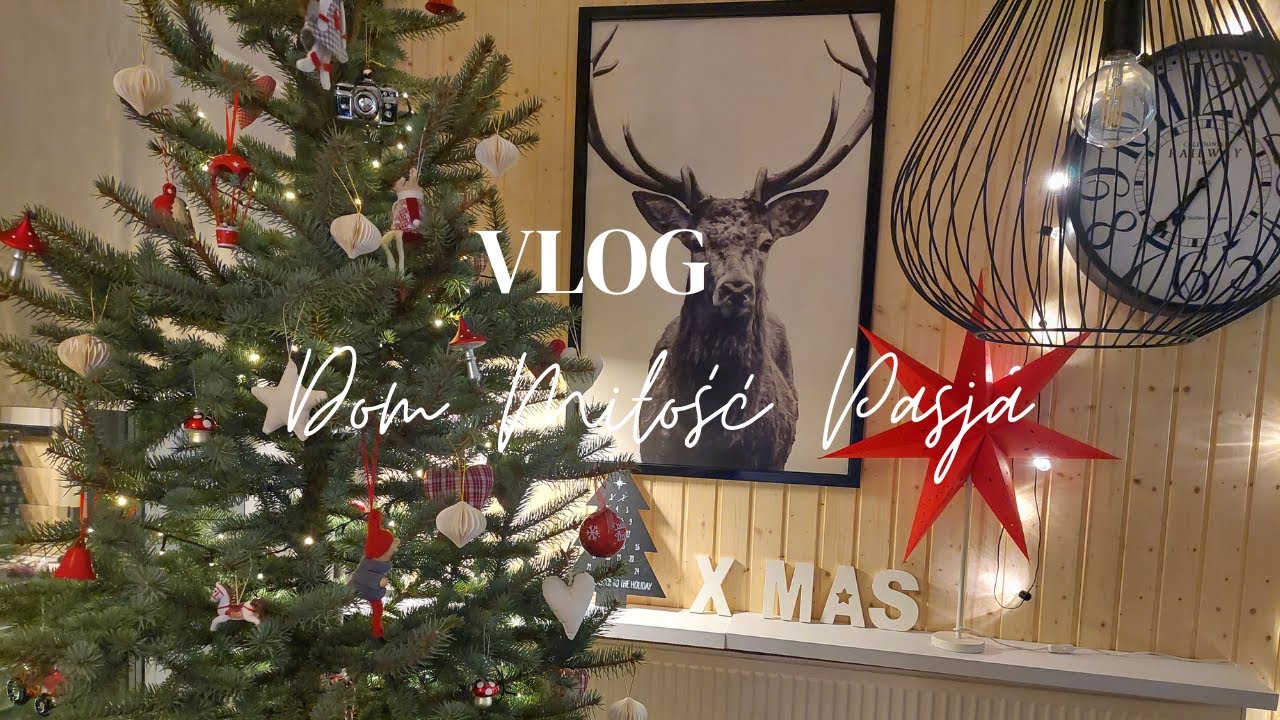 Vlogmas /Odpowiadam na Wasze pytania/ Ubieramy choinkę :)