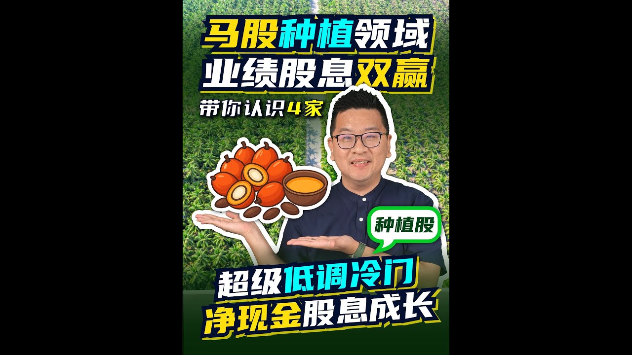 马股种植领域业绩股息双赢! 带你认识4家超级低调冷门, 净现金股息成长种植股!