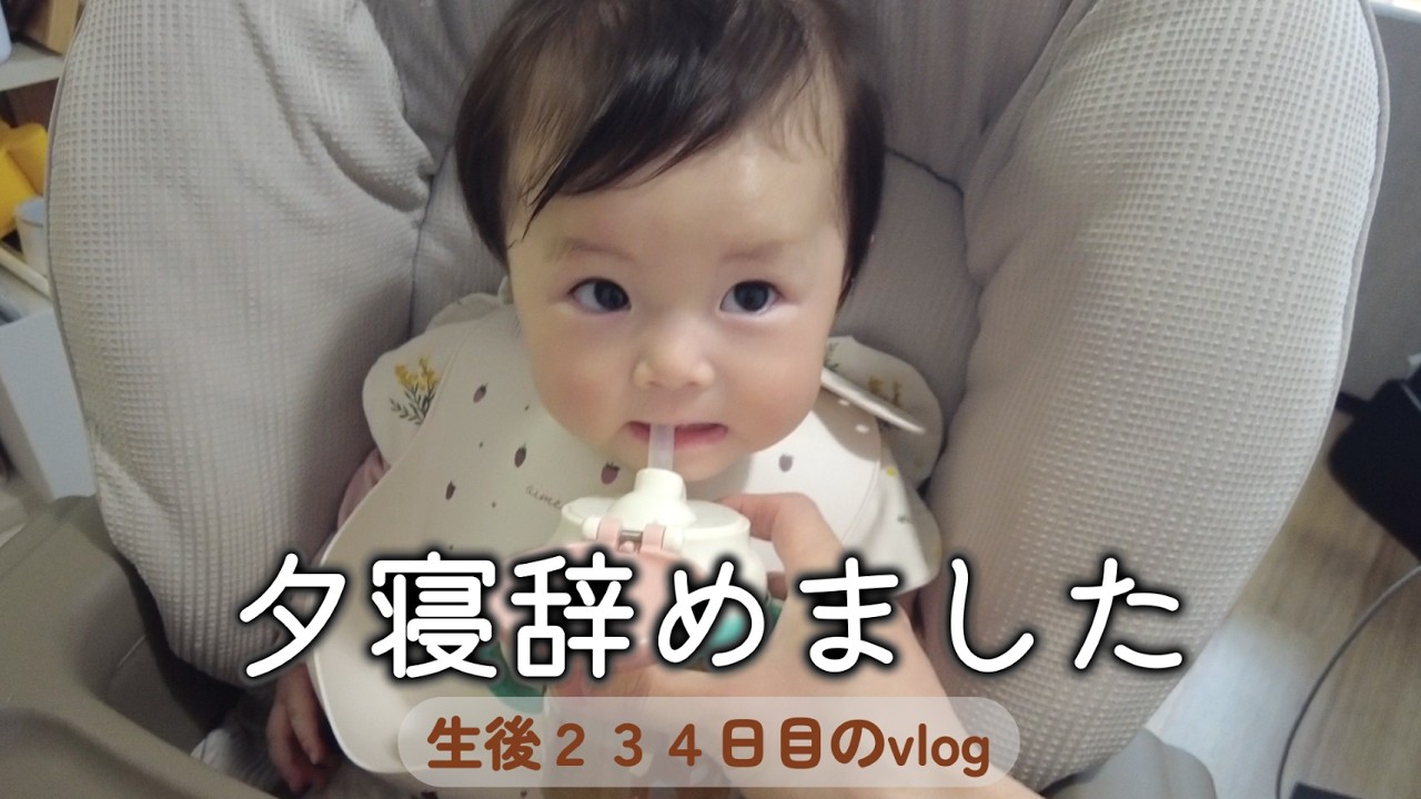 生後234日目 夕寝辞めました｜里帰りなし,1LDK,完母育児,生後7ヶ月,vlog