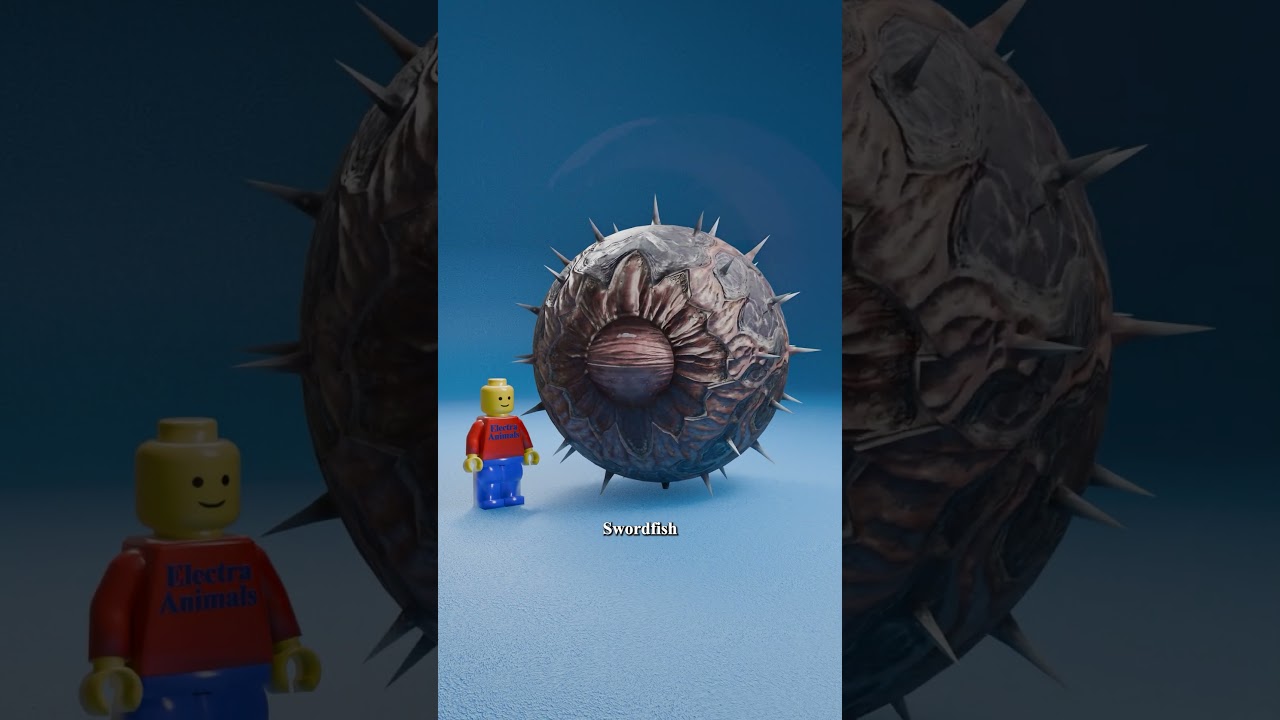 Ant Eye vs Giant Squid Eye 👀