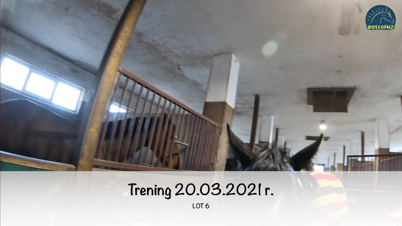 Trening koni 20.03.2021 r. Lot 6 Stajnia Rosłońce