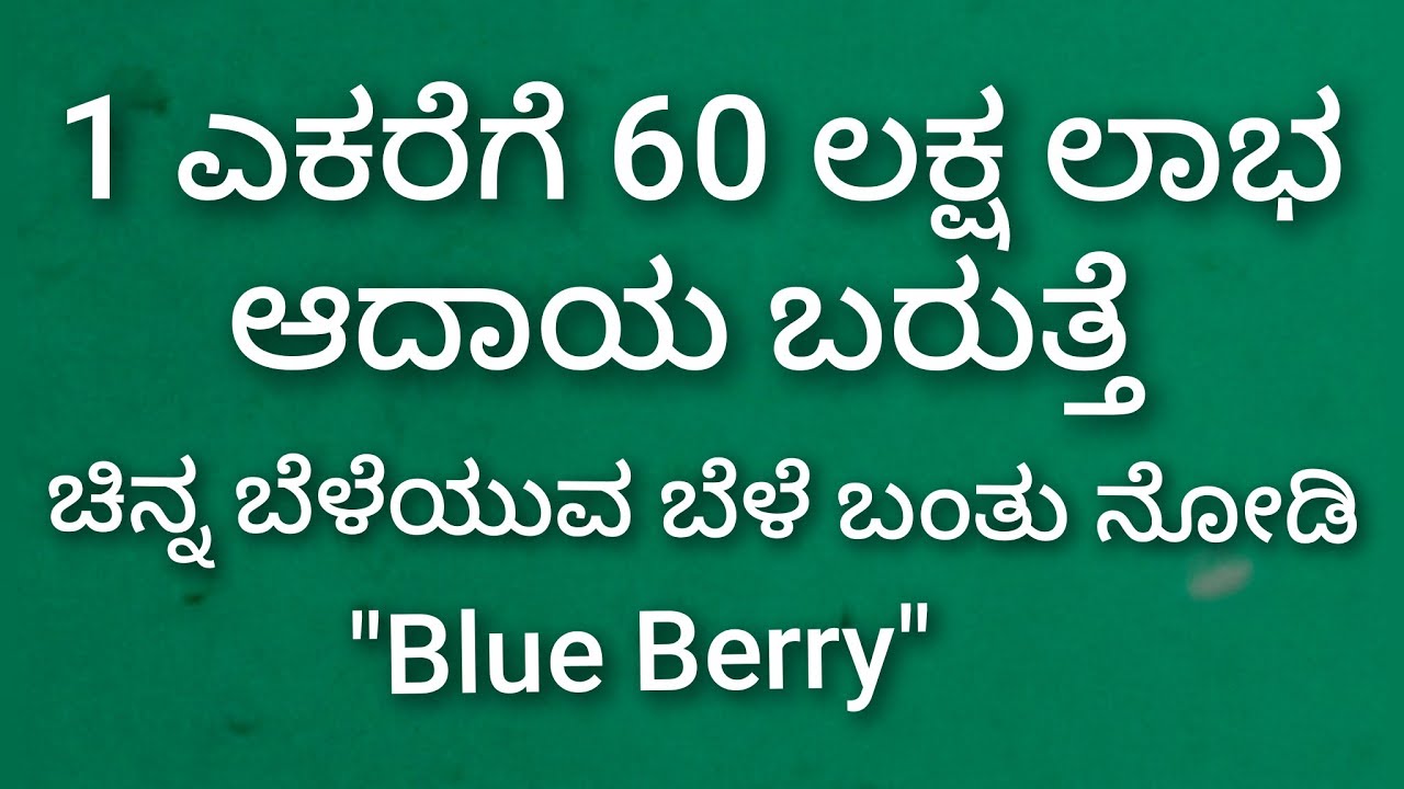 Blue Berry 1 ಎಕರಿಗೆ 60 ಲಕ್ಷ ಲಾಭ ಬರುತ್ತೆ 