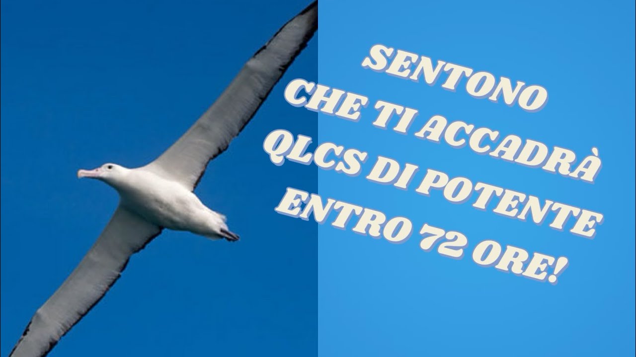 SENTONO CHE TI ACCADRÀ QLCS DI POTENTE ENTRO 72 ORE!#tarocchi#segnizodiacali
