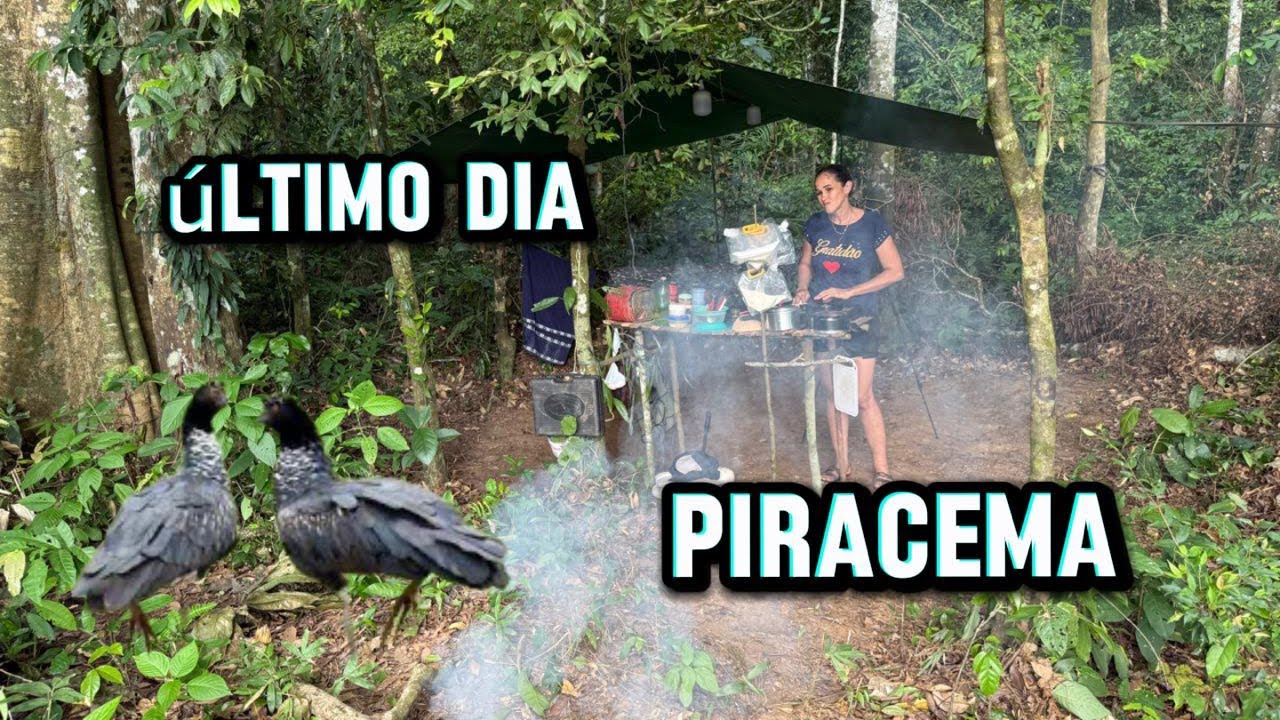 ⛺ ACAMPAMENTO 🎣 PESCARIA DEU MUITO BOA COM MUITO PIAU E UM FRITO MARAVILHOSO 