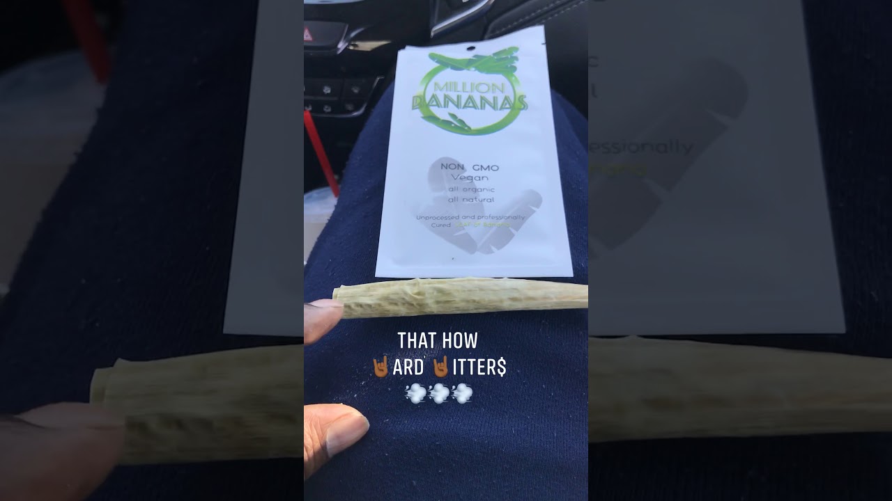 Million Bananas Leaf of Banana (Promo)