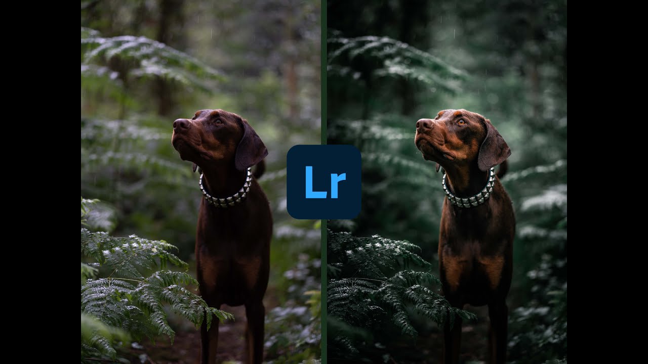 Make your photos pop in Lightroom