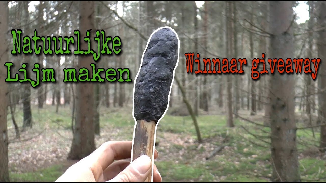 Bushcraft : natuurlijke lijm maken + winnaar giveaway | Outdoor Survival