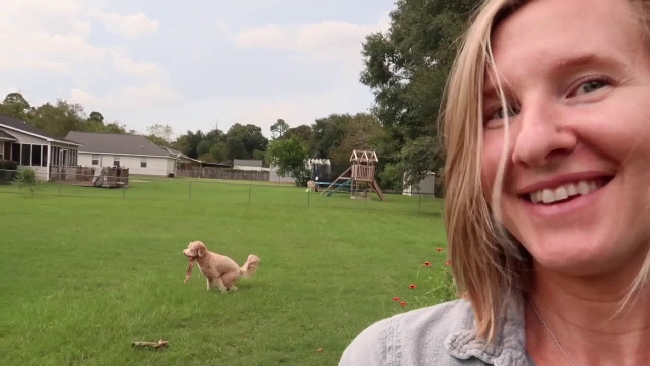 September 2020 at Joy's Cut Flower Farm | Get Inspired | 