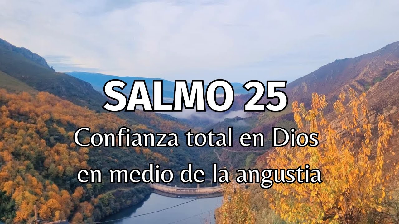 Salmo 25 Confianza en Dios en medio de la angustia 🙏🕊️#confianzaendios  #salmo25 #enticonfio