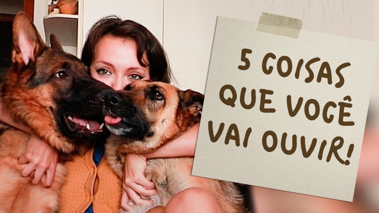PASTOR ALEMÃO EM APARTAMENTO? 5 COISAS QUE VOCÊ VAI OUVIR!