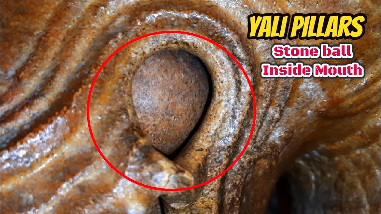 Unbelievable - Stone sculpture art work in Yali Pillars | Temple Glories of Tamil Nadu