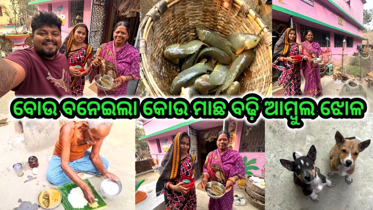 ବୋଉ ବନେଇଲା କୋଉ ମାଛ ବଢ଼ି ଆମ୍ବୁଲ ଝୋଳ || Taste ପୁରା ଜବରଦସ୍ତ #familyvlog #dailyvlog @PinuVlogsOfficial 